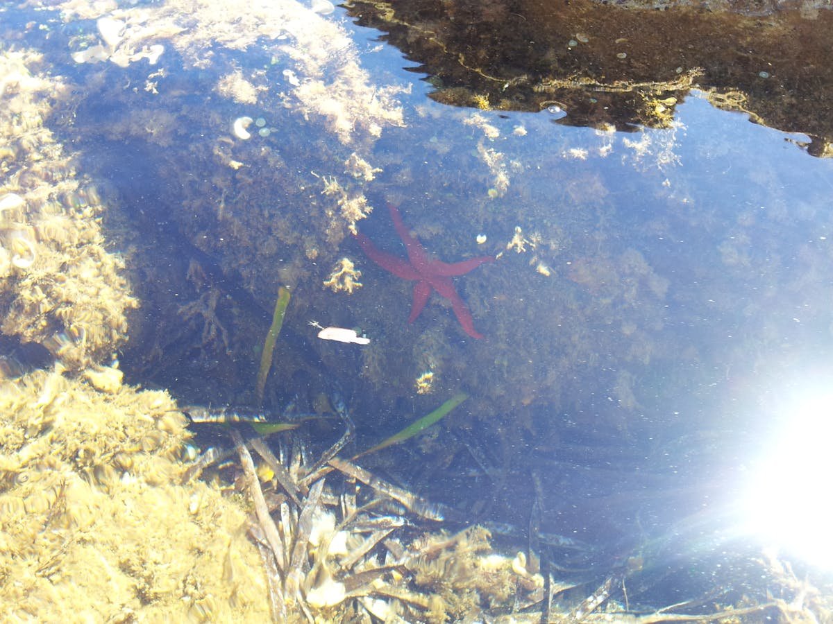 Wedding planner organising event details