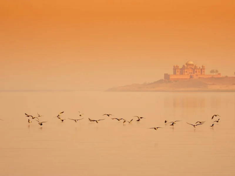 Still desert lake in Rajasthan at golden hour with birds on the water and a sandstone heritage palace soft on the far shoreline