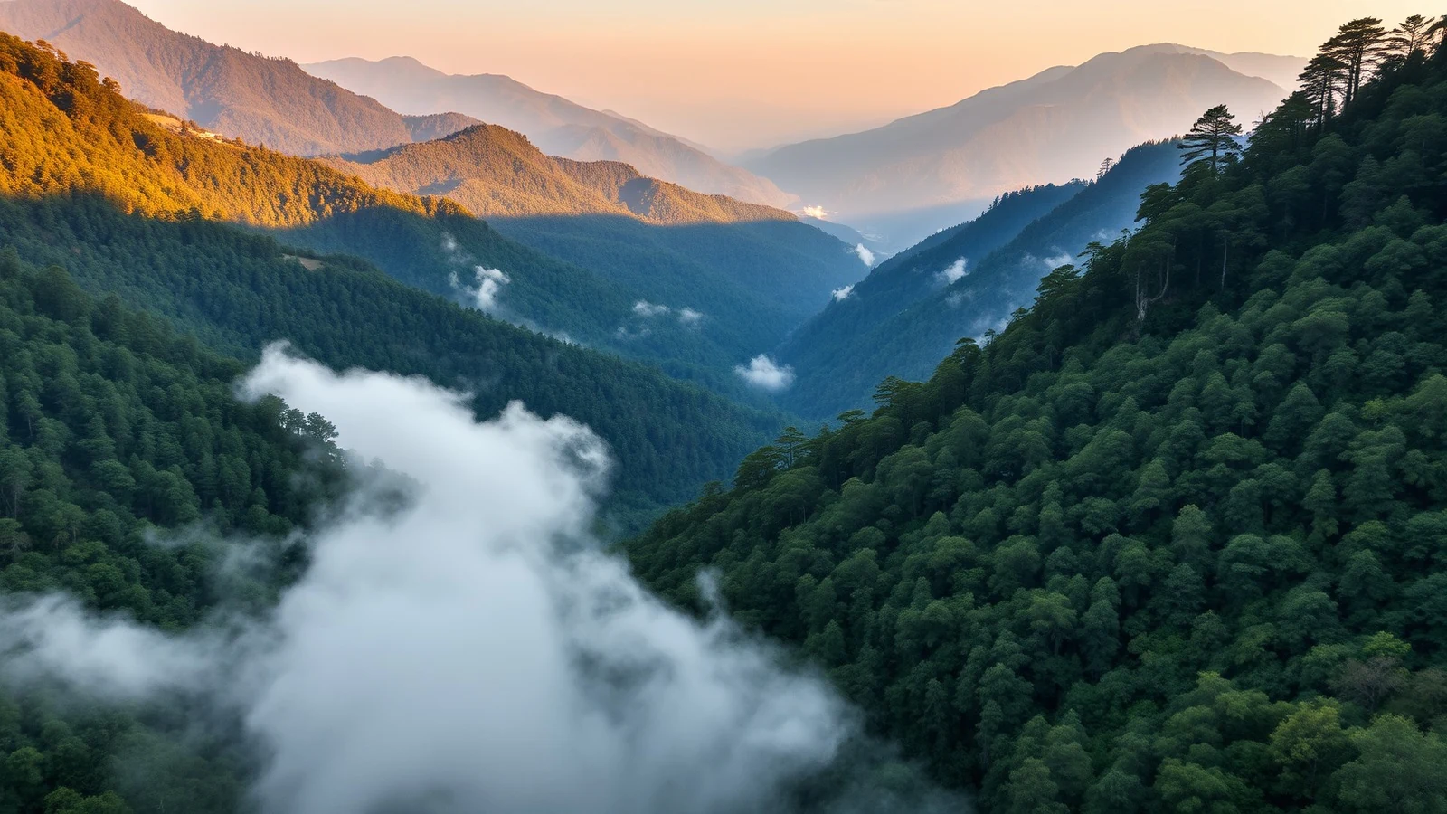 Wooded Palani Hills valley near Kodaikanal with dense shola forest on both slopes and low cloud pooling in the valley floor