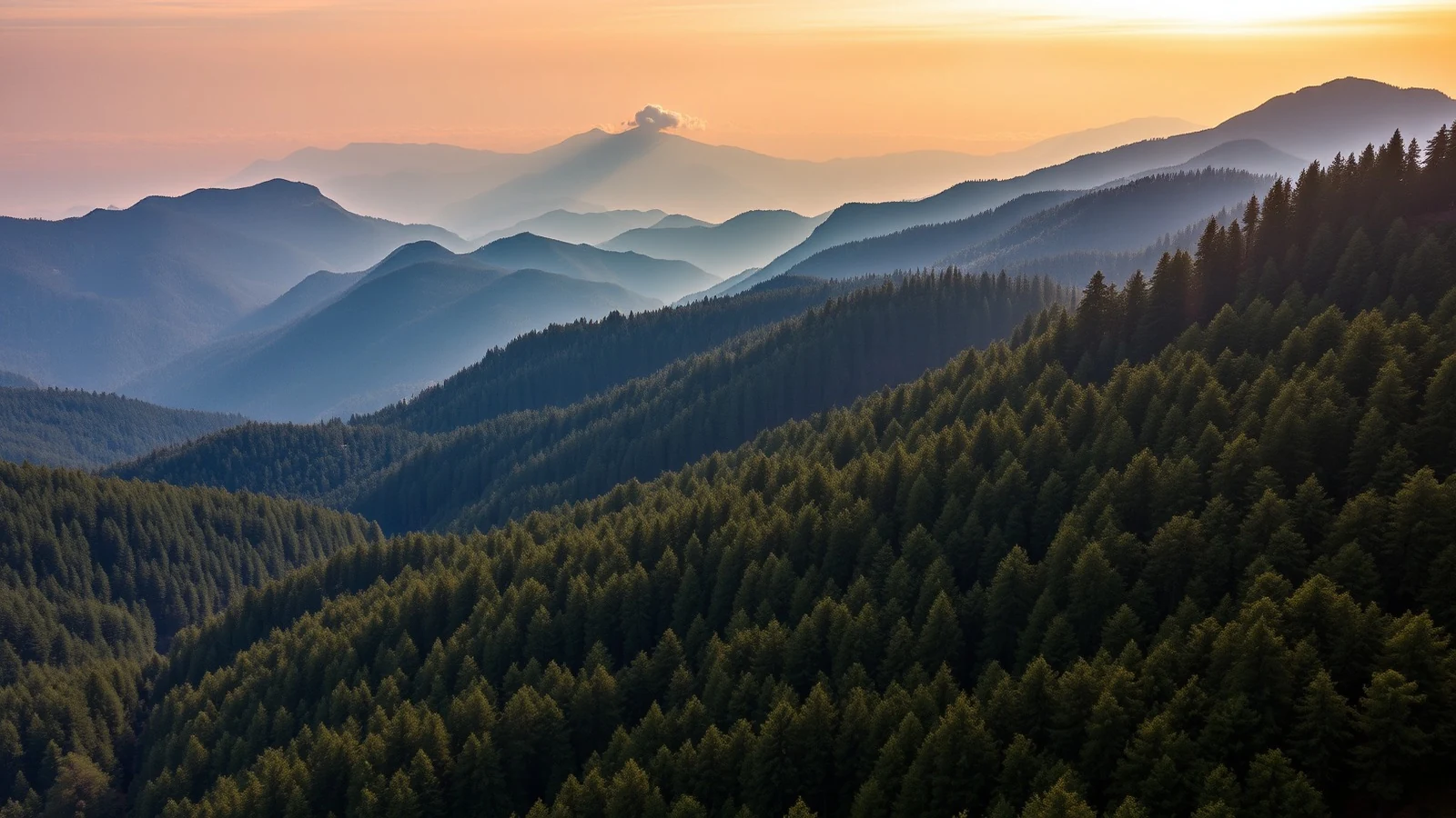 Forested Himalayan foothill ridges near Shimla at golden hour with dense deodar cedar and layered blue ridgelines receding into haze